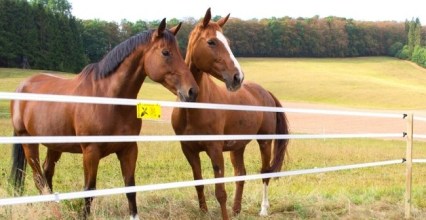 Les indispensables pour une clôture électrique